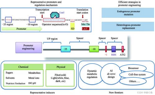 傳統行業與人工智能融合 材料、化學、物理、生物的發展與未來展望